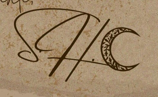 Layout - Carta Antiga